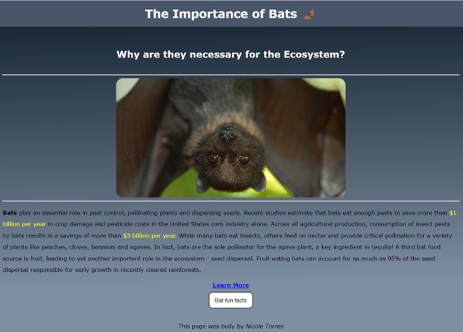 Website of Bats